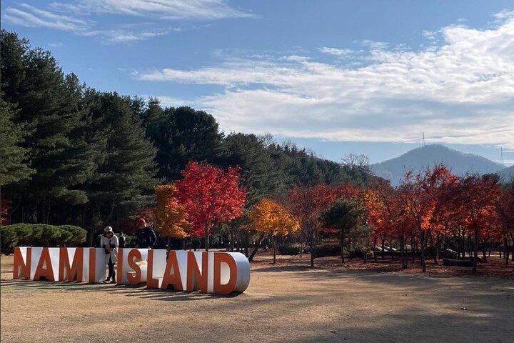 Seoul till Nami Island Alpaca World och Everland med chaufför