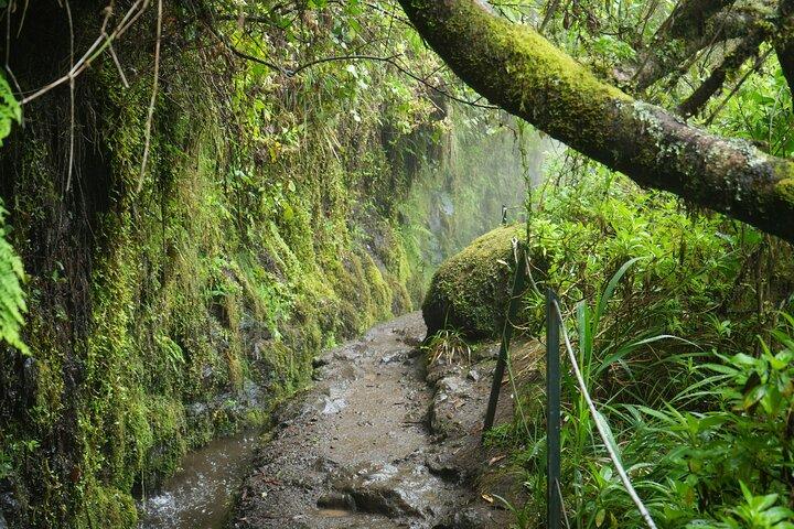 Madeira Levada Paradise Valley