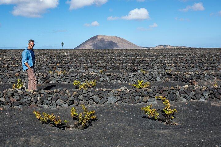 Wine Lovers Winery Tour in Lanzarote