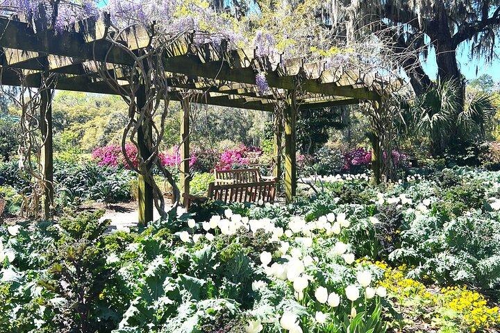 Hoteller i nærheden af Magnolia Plantation and Gardens
