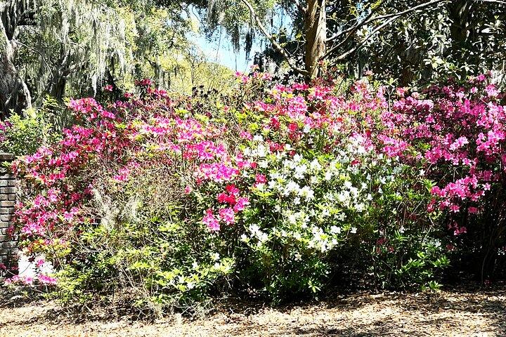 Hoteller i nærheden af Magnolia Plantation and Gardens