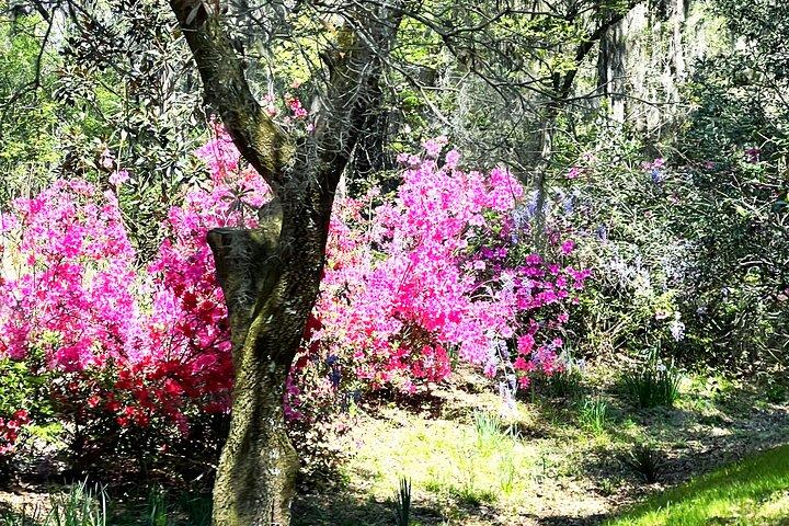 Hoteller i nærheden af Magnolia Plantation and Gardens