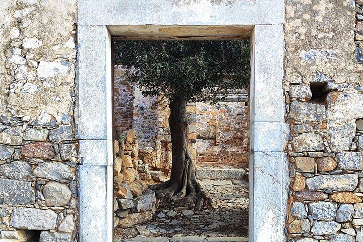 Spinalonga, Plaka, Elounda, Agios Nikolaos & Olivenmühle | Privat