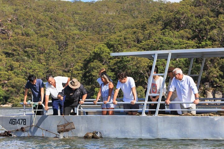 Broken Bay Pearl & Oyster Farm Tours