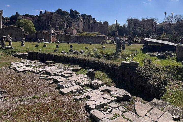 Colosseum, Forum Romanum och Palatine Hill Private Tour