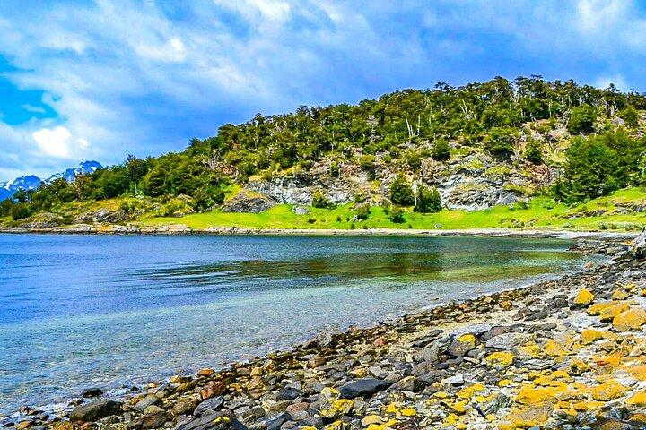 Tailor Made Argentina Patagonia Wildlife Tour med eksklusiv bil