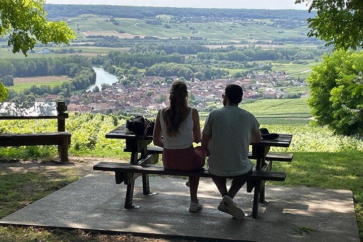 Tour de um dia em Champagne com almoço e degustação
