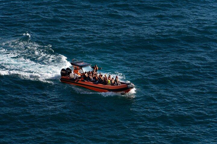 From Lagos: Benagil Caves Speedboat Adventure