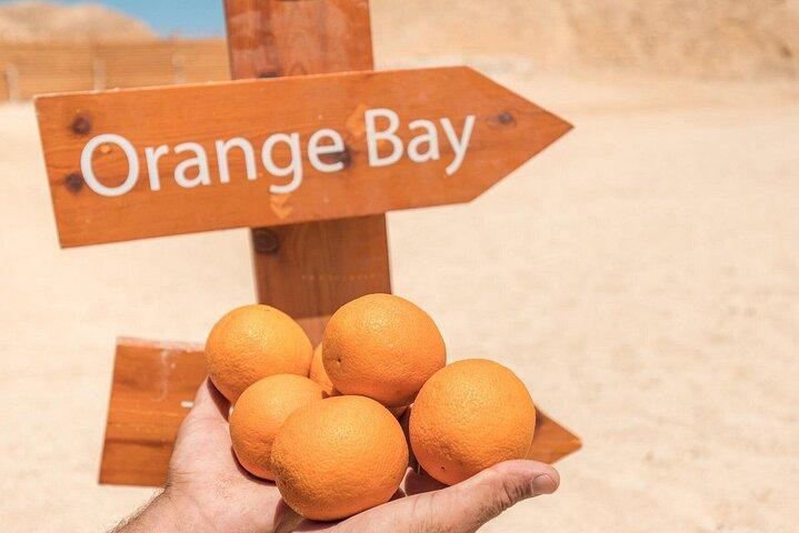 Snorkling eventyr på Orange Bay Island med frokost inkluderet