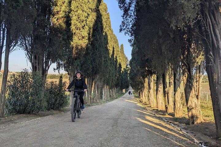 Rom: Frascati Vineyard Cykeltur med tågbiljetter