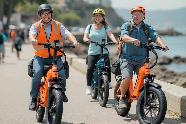 Visita guiada en bicicleta eléctrica Stanley Park y joyas ocultas - Grupos pequeños