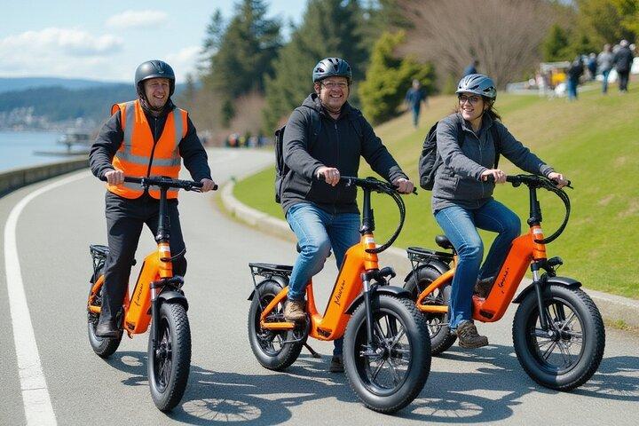 Visita guiada en bicicleta eléctrica Stanley Park y joyas ocultas - Grupos pequeños