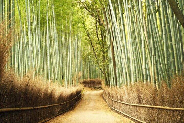 Uma viagem a Kyoto e Osaka em um dia