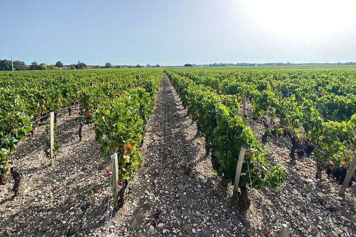 Saint Emilion Castle og Village Wine Tour