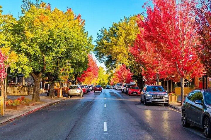 Charms of Hahndorf and Hills Tour de um dia inteiro