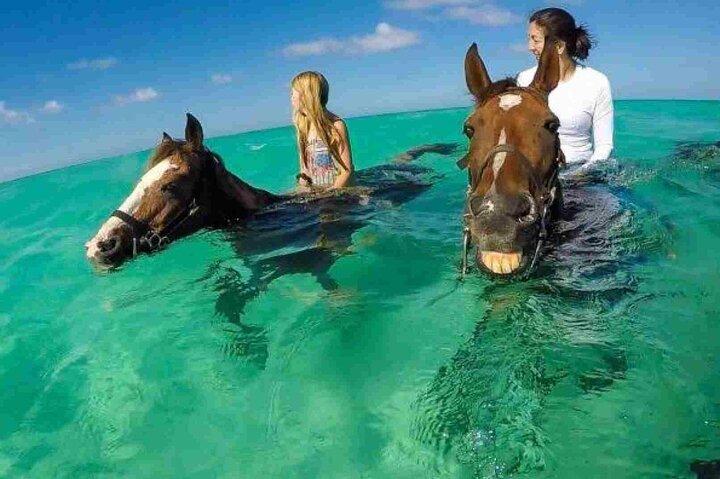 3 timers ridning i Hurghada