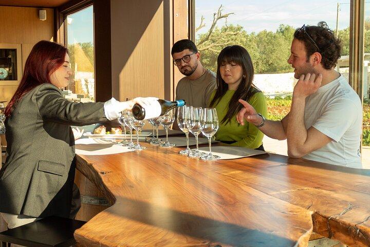 ワインセラーの見学と試飲で、オストゥーニのオーガニックワインを発見