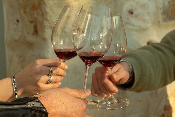 ワインセラーの見学と試飲で、オストゥーニのオーガニックワインを発見
