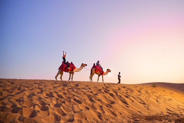 Dubai Desert Safari with optional Quad Bike, Dinner & Shows