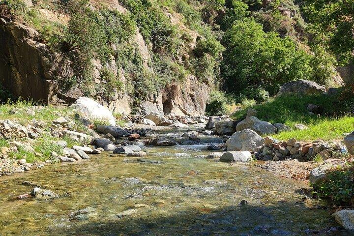 Marrakech: Unforgettable Excursion & Ourika Valley & Atlas