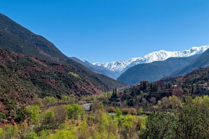 Marrakech: Unforgettable Excursion & Ourika Valley & Atlas