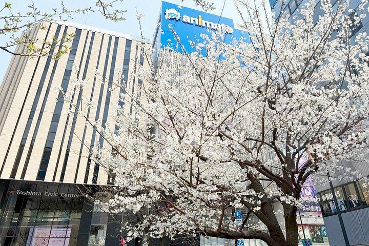 池袋アニメ・ゲーム文化体験ツアー