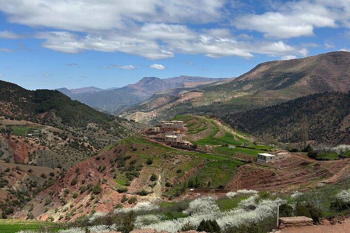 Full Day Atlas Mountains Private Day Tour From Marrakech