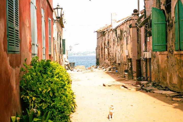 Explorar a Ilha de Gorée História Memória e Património UNESCO