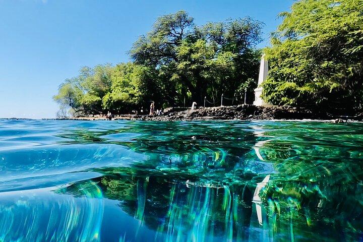 Kealakekua Bay Snorkeling e Safari dei delfini a Kona Big Island (4 ore)