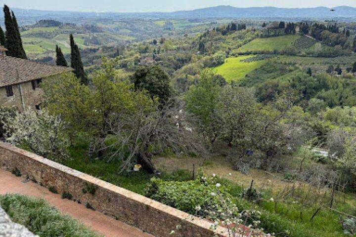 Excursão privada - Chianti de minivan ao pôr do sol