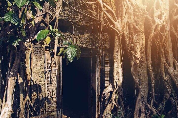 Tour di Angkor Thom Ta Prohm e del tramonto ad Angkor Wat