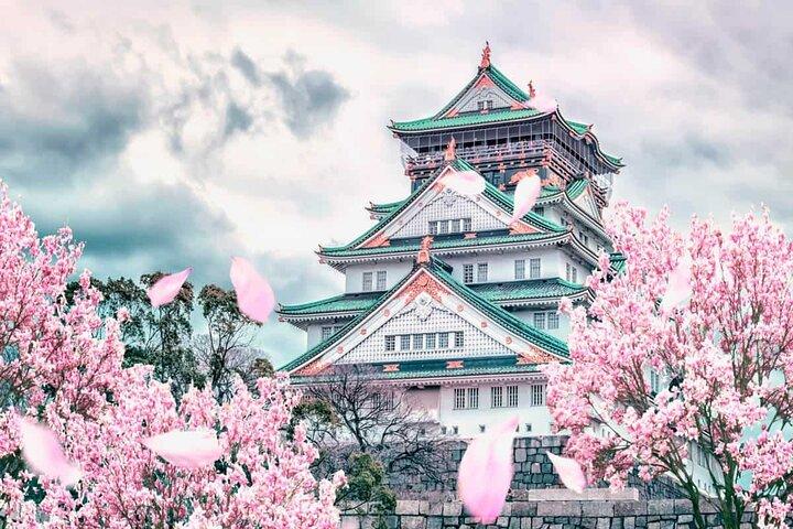 Entrada al castillo de Osaka
