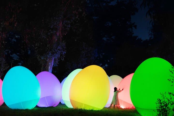 TeamLab Botanical Garden Osaka Ticket