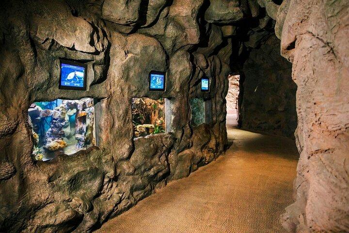 Pacchetto Acquario Poema del Mar e Bus TUI