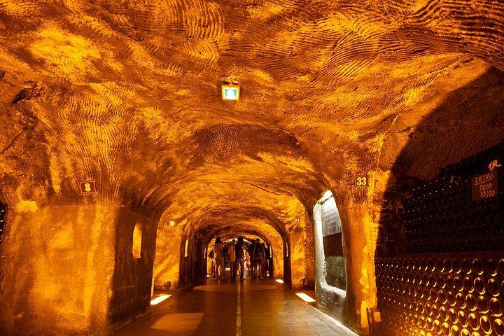 パリ発ファミリー・エステーツ・シャンパーニュ・ツアー：10の試飲＆ランチ