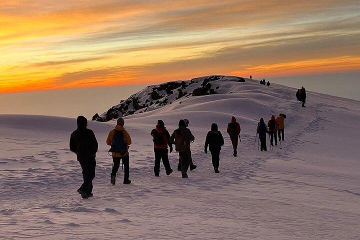 Machame Route Kilimanjaro Trek – 7 dagen naar Afrika’s hoogste piek.