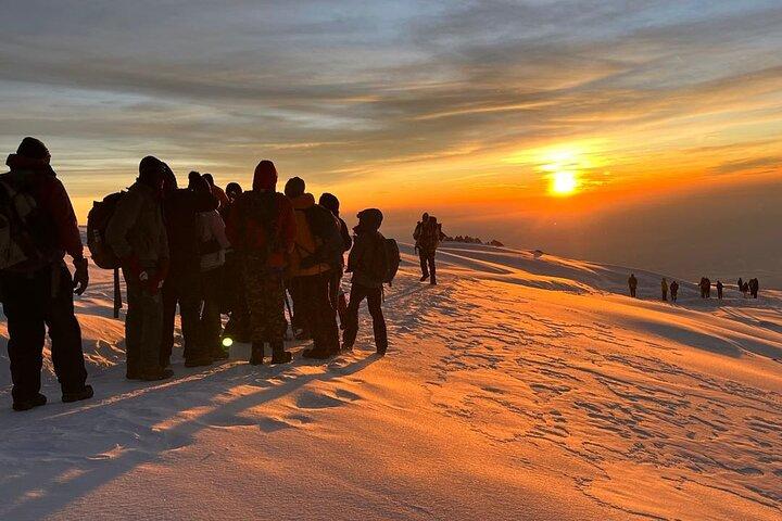 Machame Route Kilimanjaro Trek – 7 dagen naar Afrika’s hoogste piek.