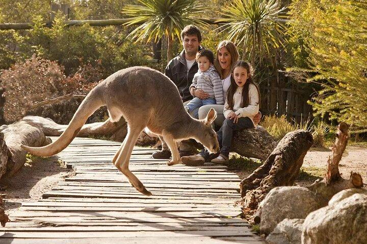 Explora Temaiken: Experiencia de tour por el Bioparque