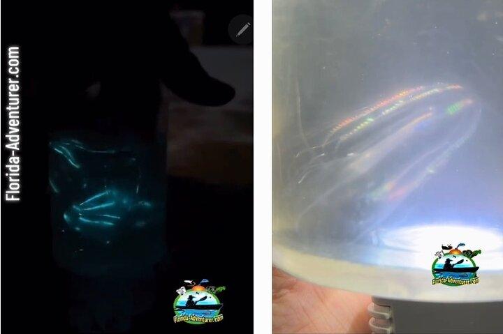Clear Kayak Bioluminescentie Tour - Cocoa Beach