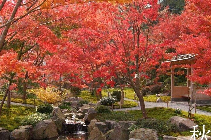祐徳稲荷神社＆幸姫酒造日帰りツアー｜福岡