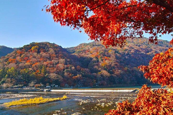 京都日帰りツアー貴船神社、三千院、嵐山＆友禅光琳