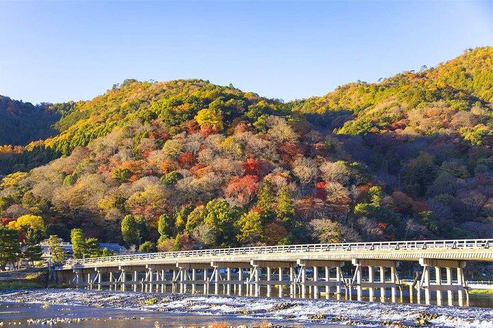 京都日帰りツアー貴船神社、三千院、嵐山＆友禅光琳