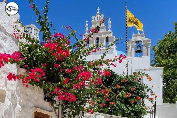 Naxos: Privat Full Island 5-timmars rundtur