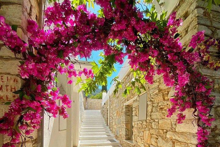 Naxos: Privat Full Island 5-timmars rundtur