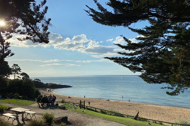 Phillip Island Tour mit Spanisch sprechendem Guide
