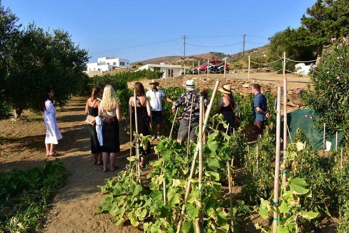 Naxos: Vino Privado Experiencia de Tres y Media Horas