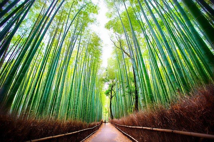 Kyoto Selbstgeführtes Audioerlebnis