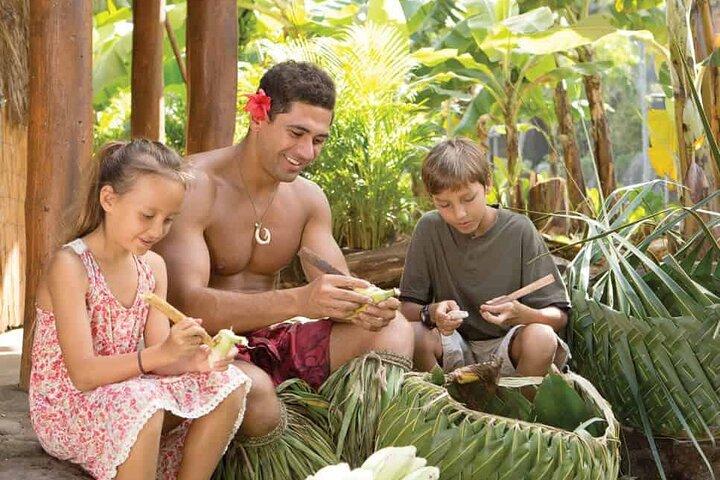 Polynesisch Cultureel Centrum : Toegangsbewijs voor de eilanden van Polynesië
