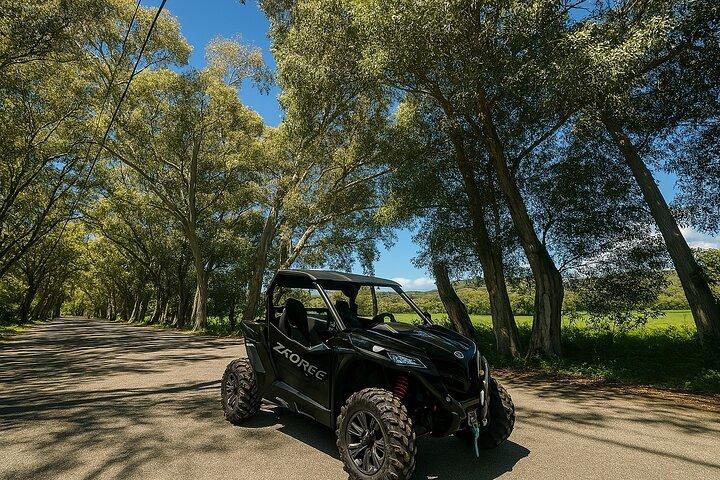 Buggy Safari fra Georgioupolis område