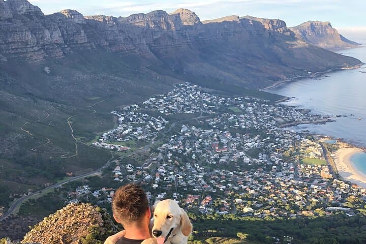 Cape Town: Table Mountain Hiking Tour With Pro Guide